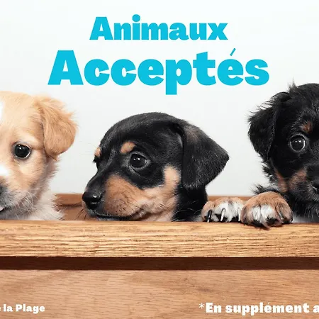 Daire Maison Charmante, Animaux Ok - 4 Pers. - Fr-1-323-623 *